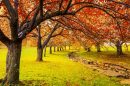 Fall: The season of cozy, delicious, wisdom-inducing rediscovery | CNN