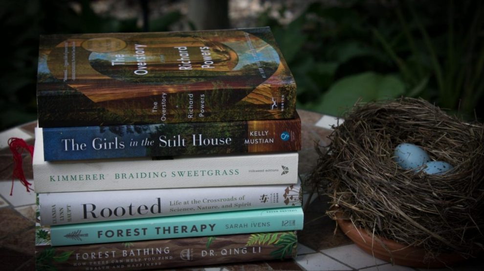 31 Inspiring Books About Nature Connection That Will Change Your Life - The  Outdoor Apothecary