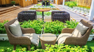 Transforming Outdoor Living: The Art of Patio Garden Design