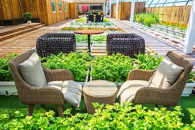 Transforming Outdoor Living: The Art of Patio Garden Design